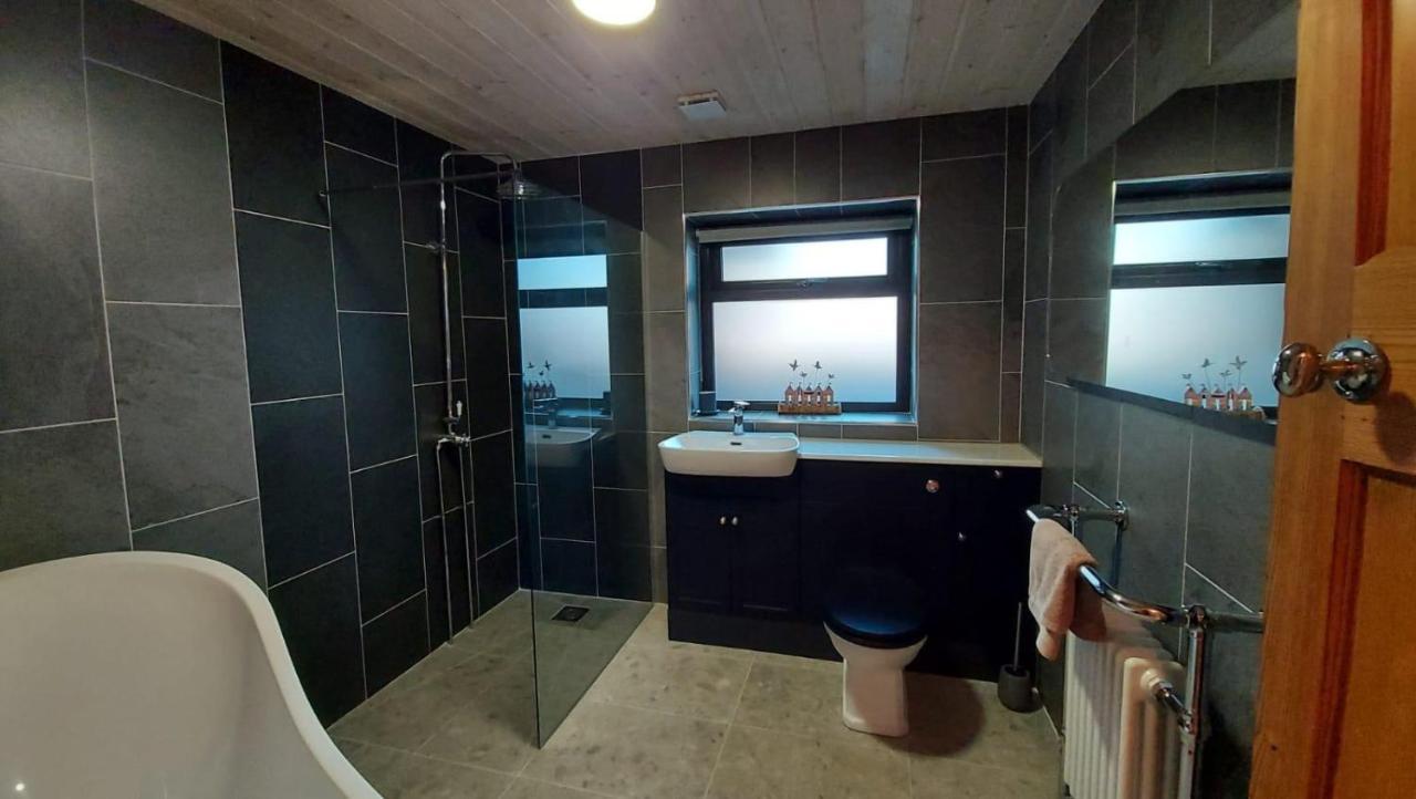 No 1 Dolheulog Aberaeron Sa46 0Ep Villa Bagian luar foto